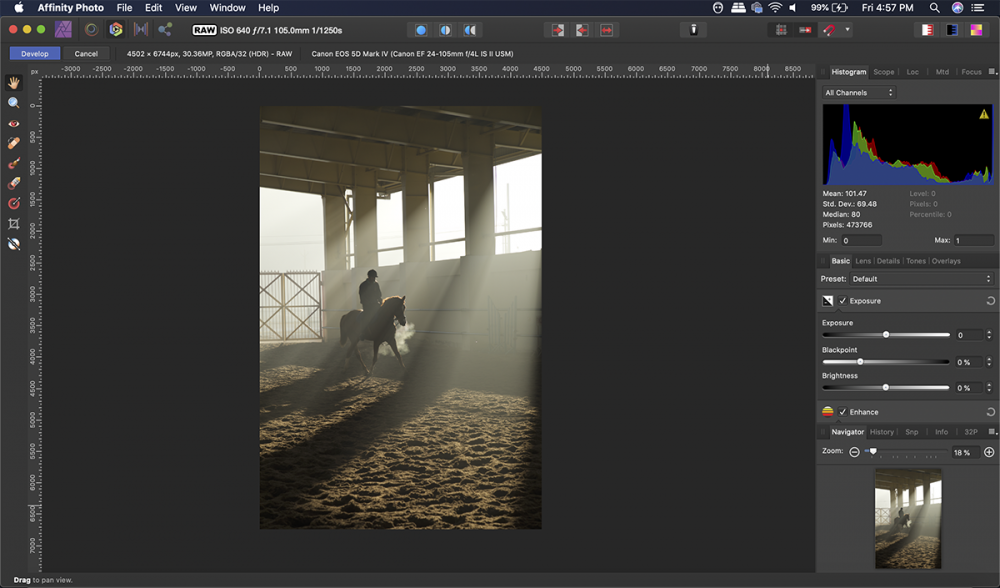 No Horsing Around! Process your RAW images using Develop Persona