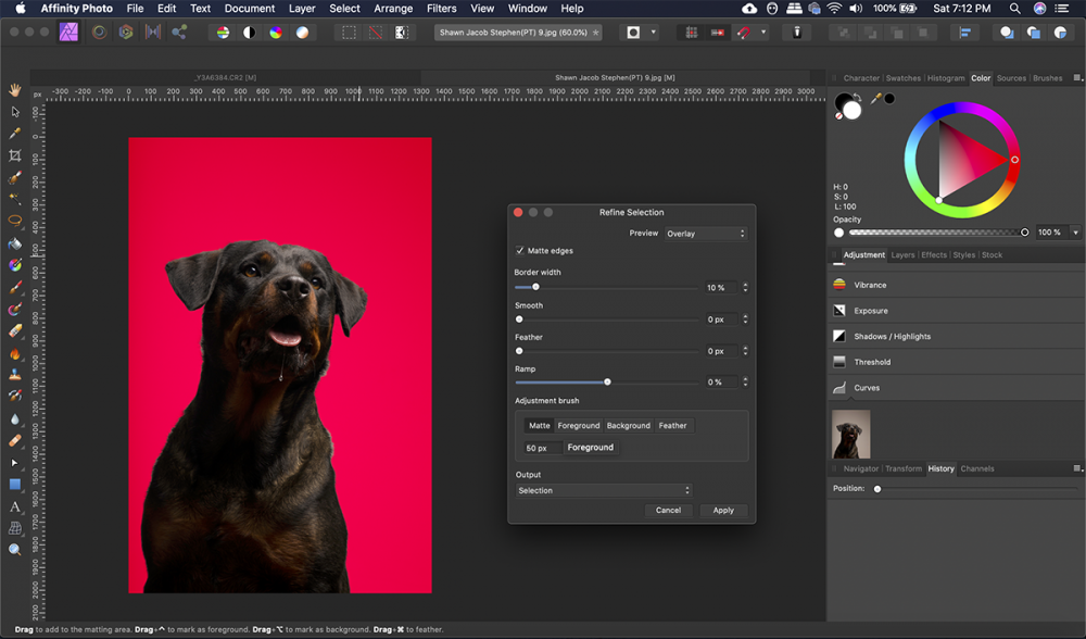 Make precise selections using the Refine Edge tool. Woof Woof!