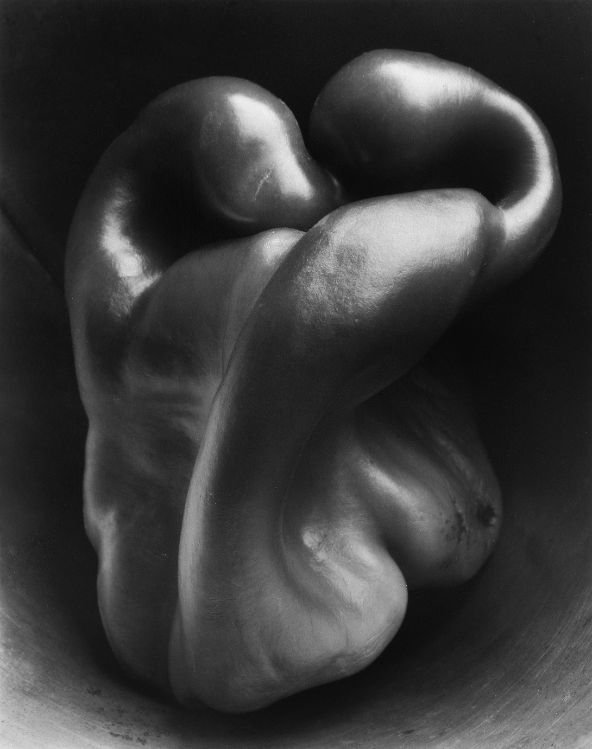 Edward Weston Landscapes - Breathtaking landscapes by Edward Weston, capturing nature’s essence.