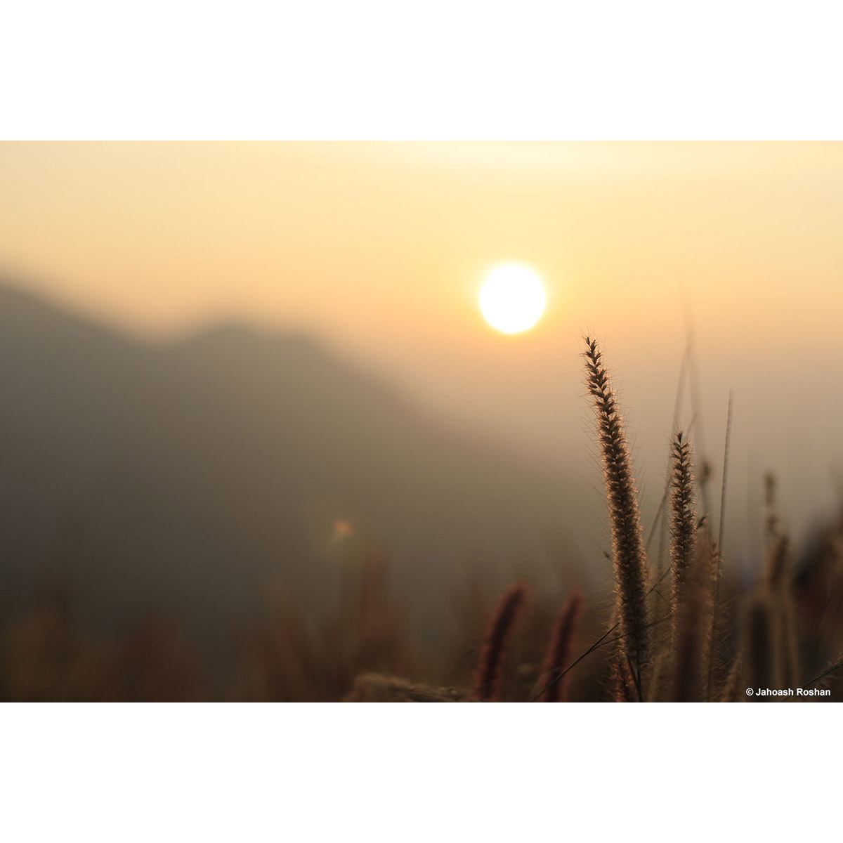Best Photography Images of Intro to 35mm photography workshop