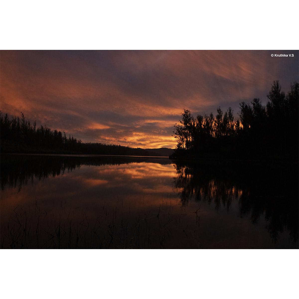 Best Photography Images of Intro to 35mm photography workshop